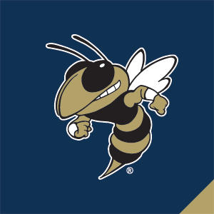 Georgia Institute of Technology Mascot Xbox 360 (Includes HDD) Skin